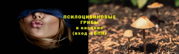 индика Лиски