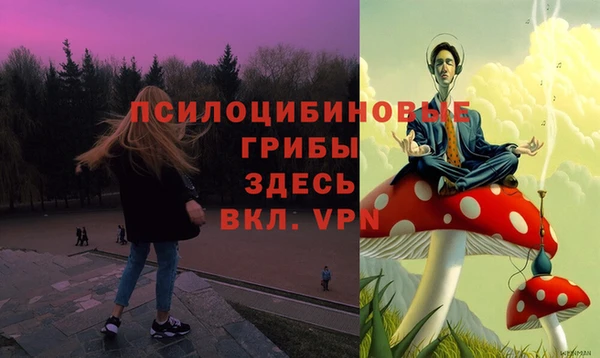 индика Лиски