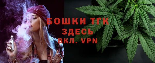 индика Лиски