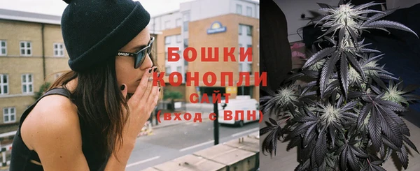 индика Лиски