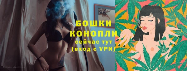 индика Лиски