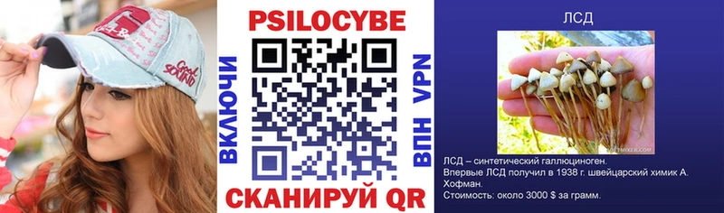 кракен   Чита  Галлюциногенные грибы Psilocybe 