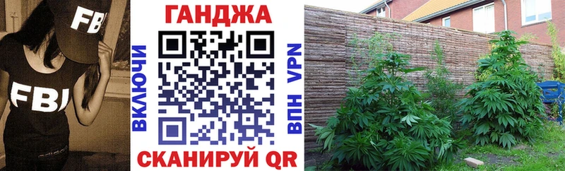 Конопля конопля Чита